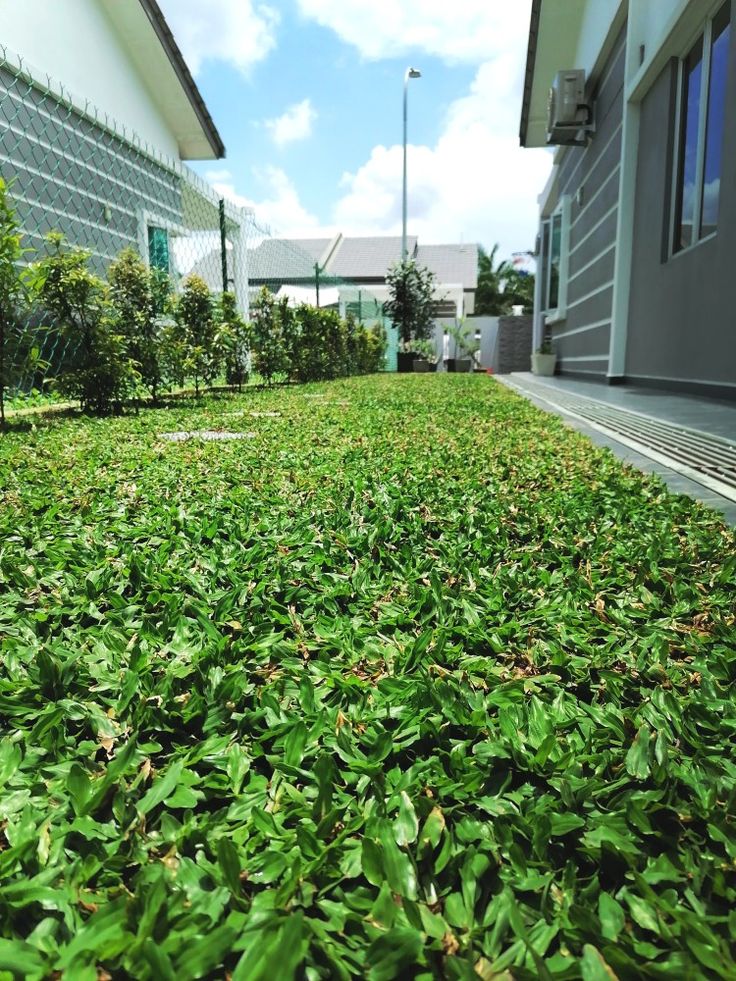 Pearl Grass Lawn Villa Bangalore